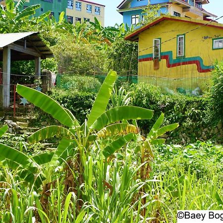 Baey Bogan Homestay Sagada Kültér fotó