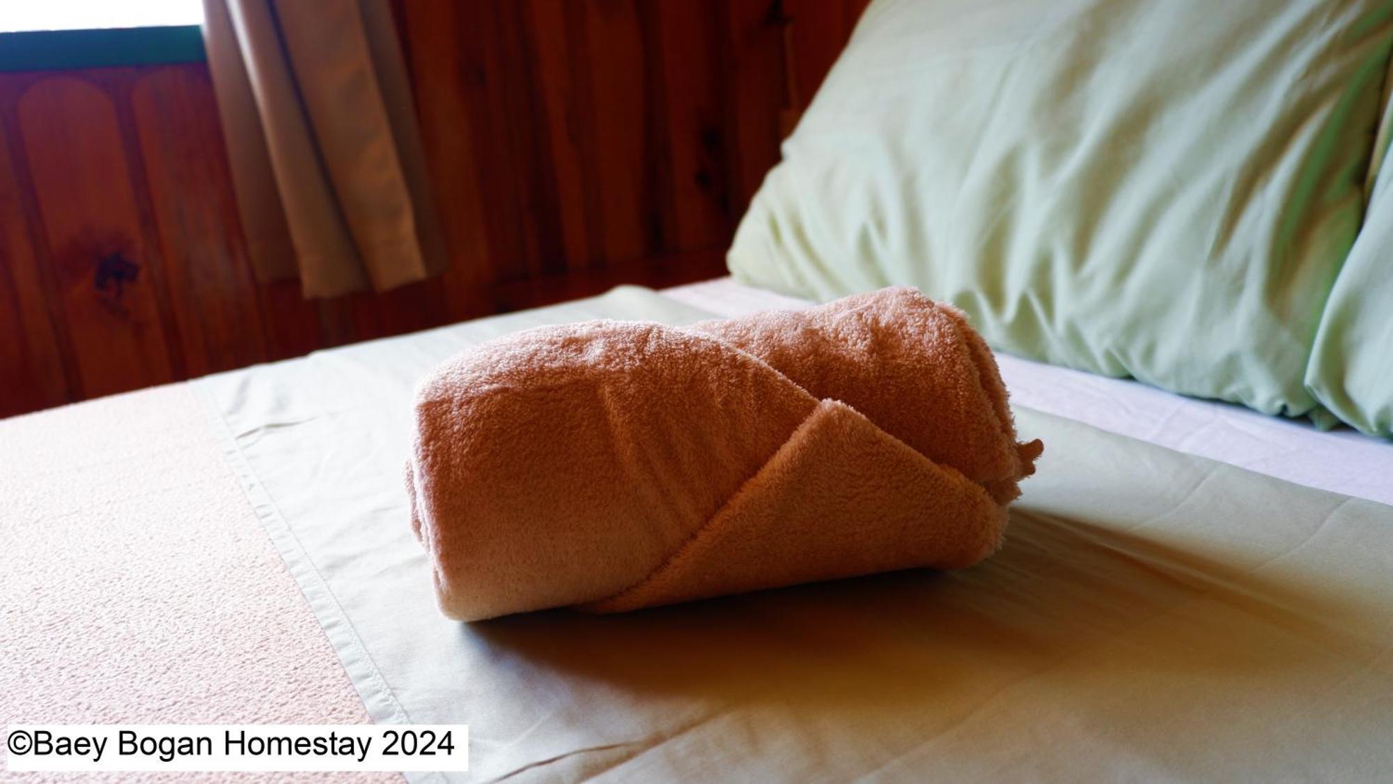 Baey Bogan Homestay Sagada Kültér fotó