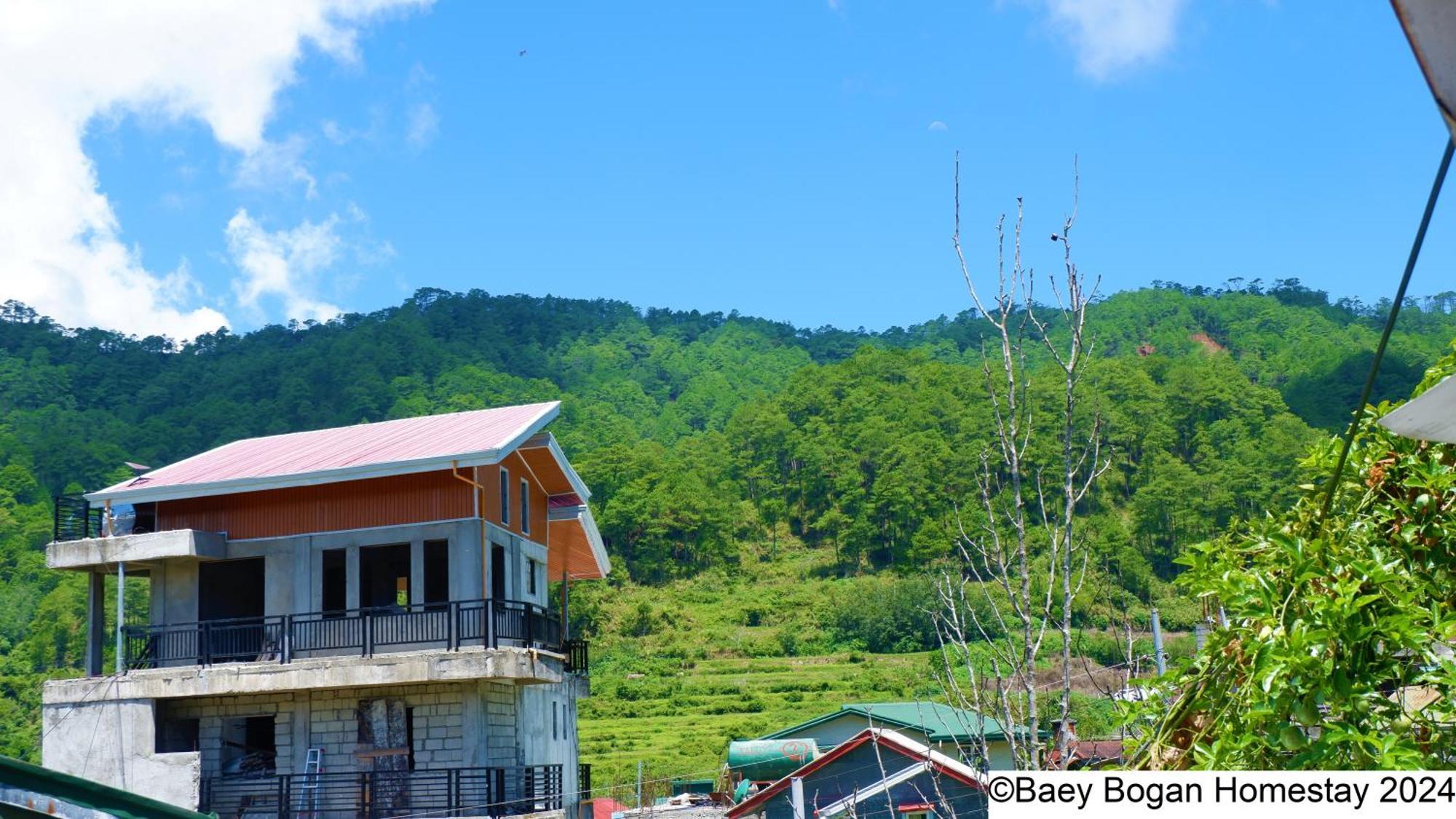 Baey Bogan Homestay Sagada Kültér fotó