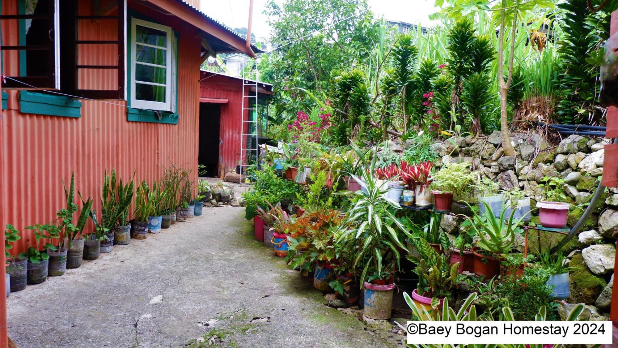 Baey Bogan Homestay Sagada Kültér fotó
