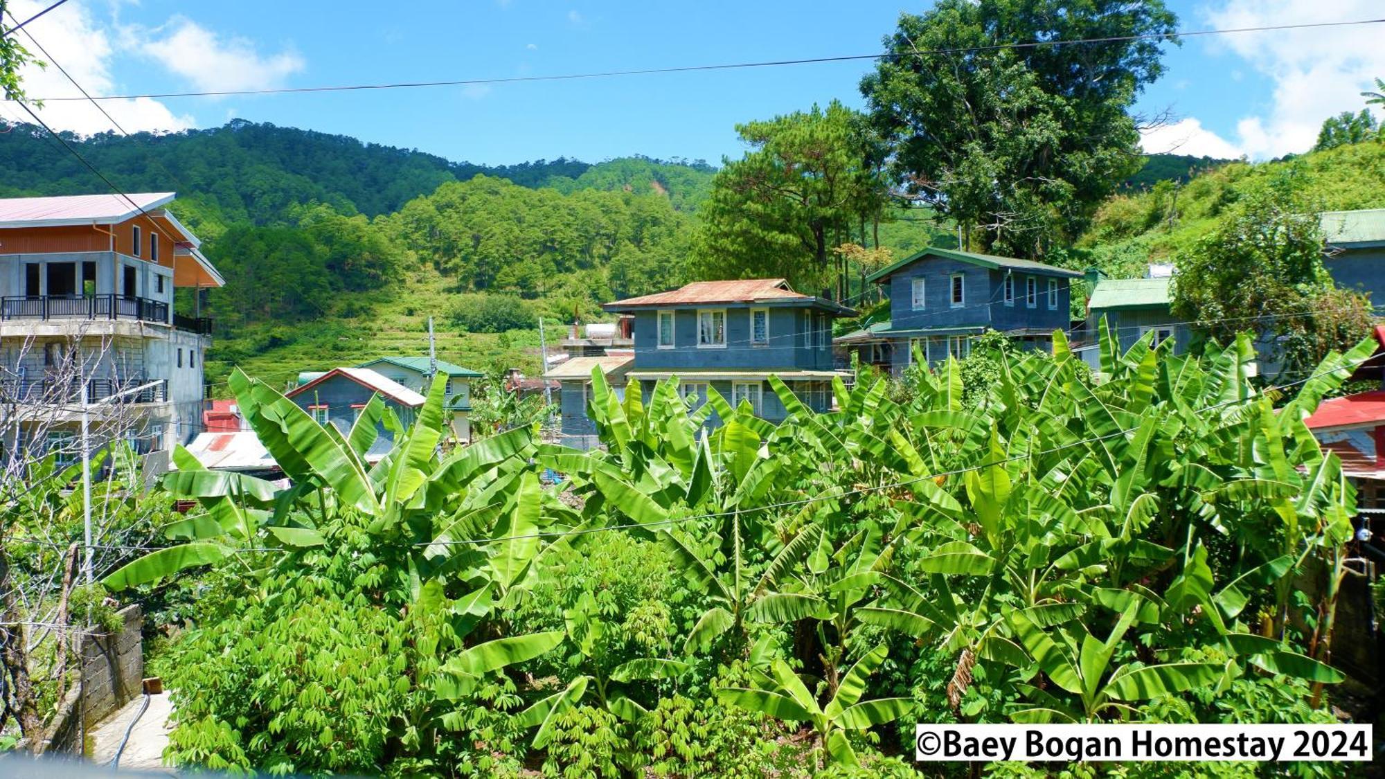 Baey Bogan Homestay Sagada Kültér fotó