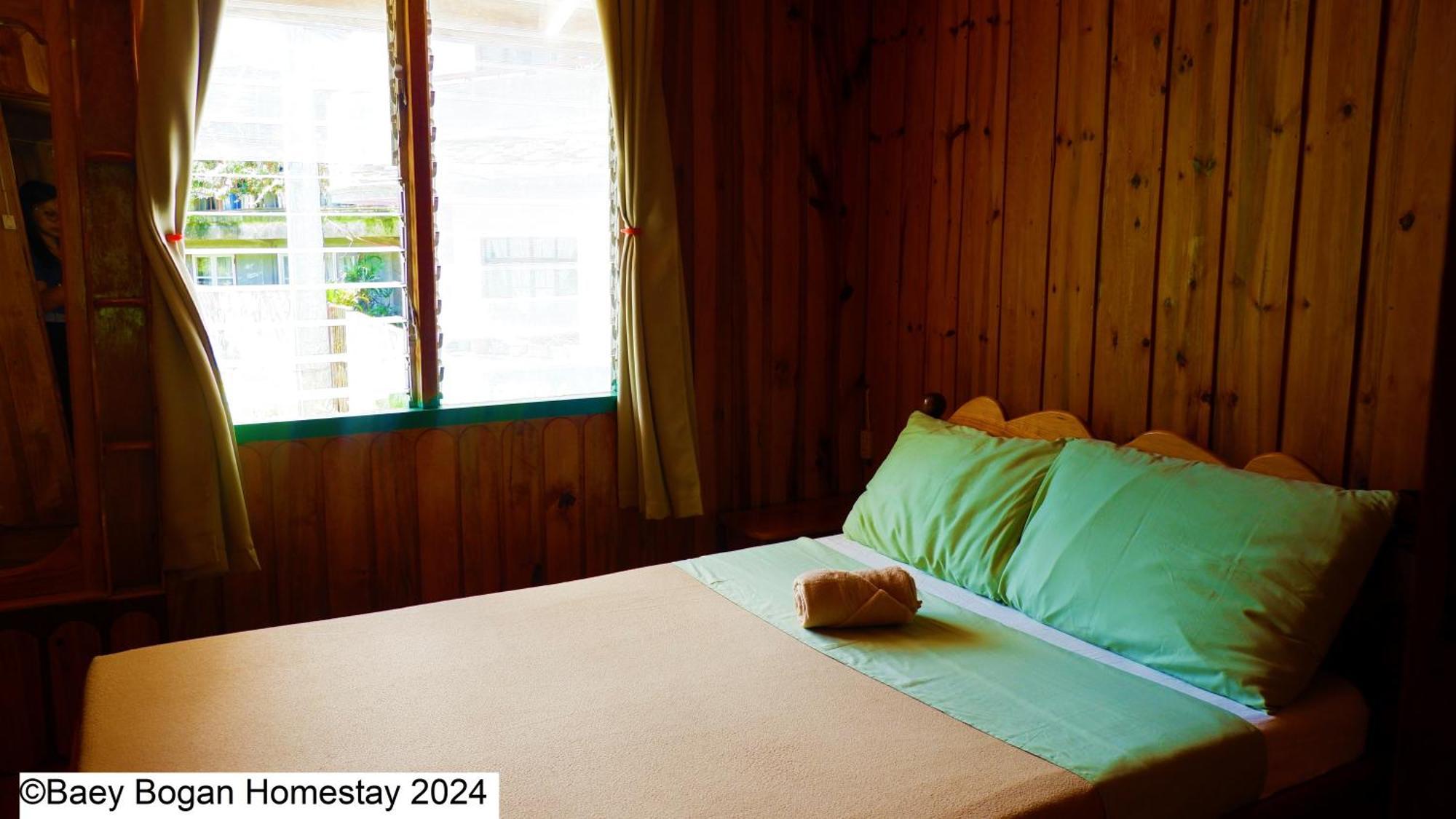 Baey Bogan Homestay Sagada Kültér fotó