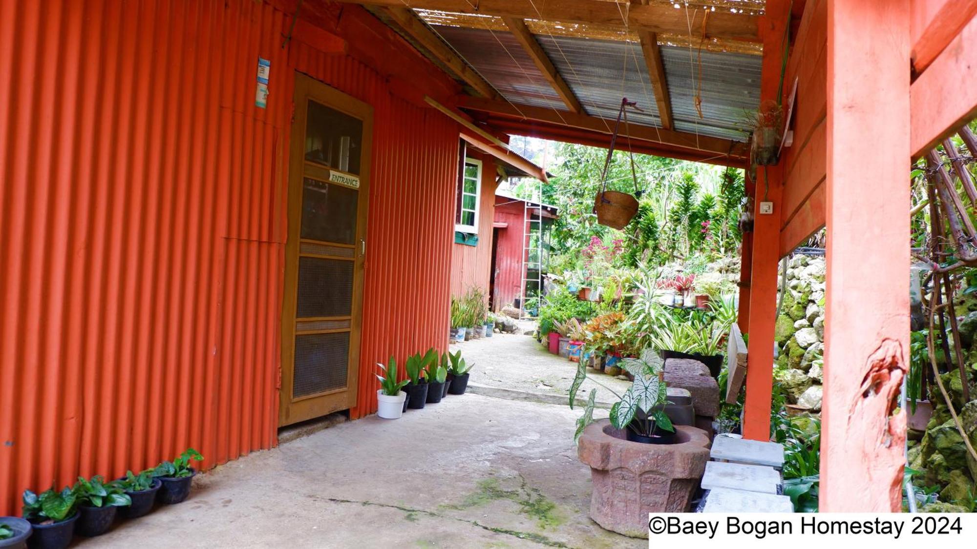 Baey Bogan Homestay Sagada Kültér fotó