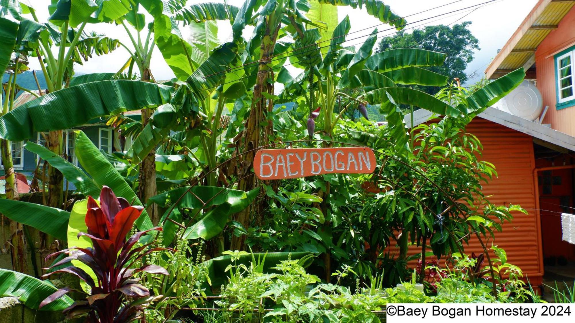 Baey Bogan Homestay Sagada Kültér fotó