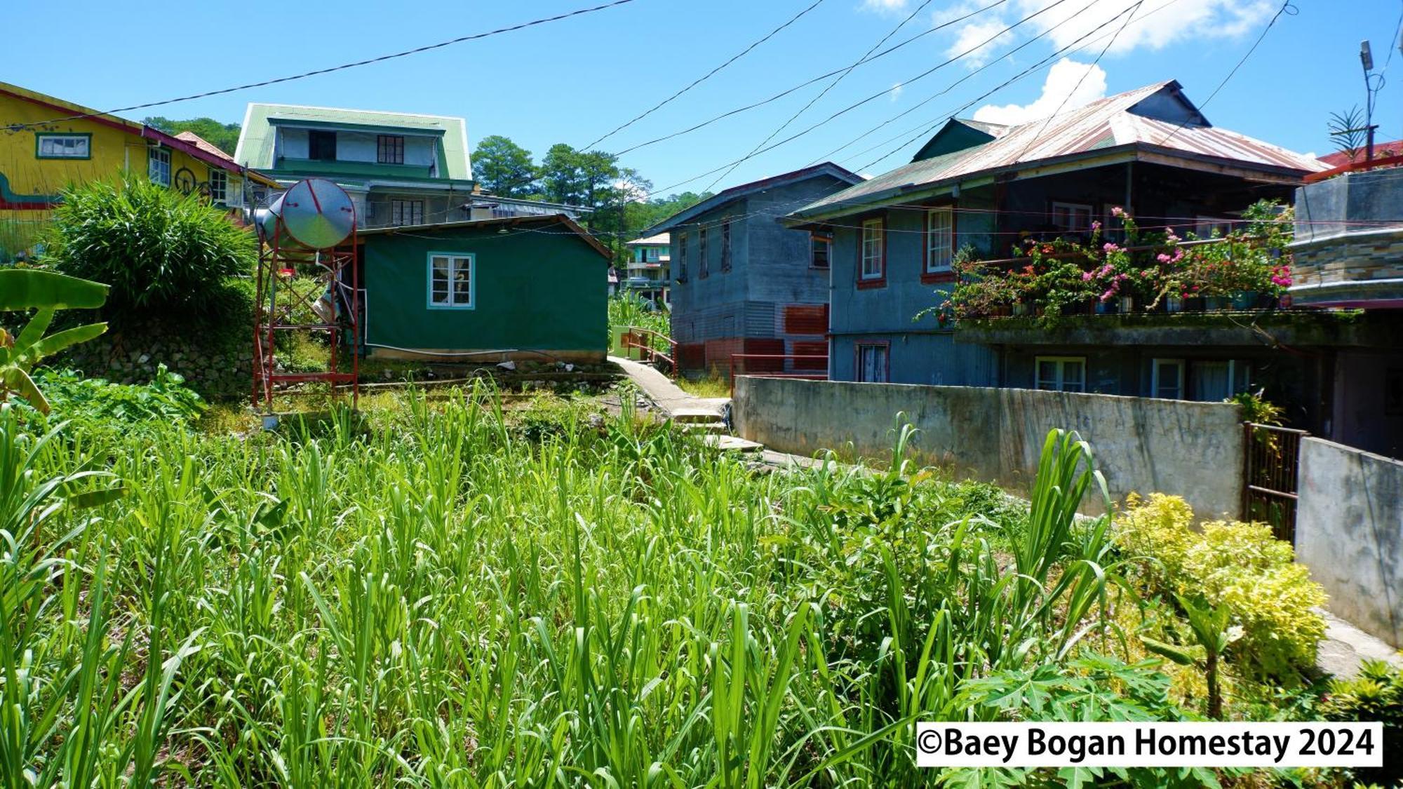Baey Bogan Homestay Sagada Kültér fotó