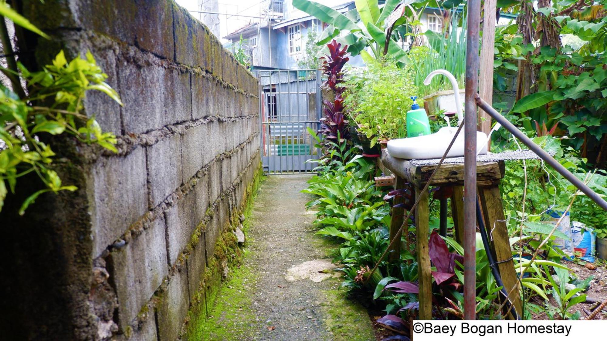 Baey Bogan Homestay Sagada Kültér fotó