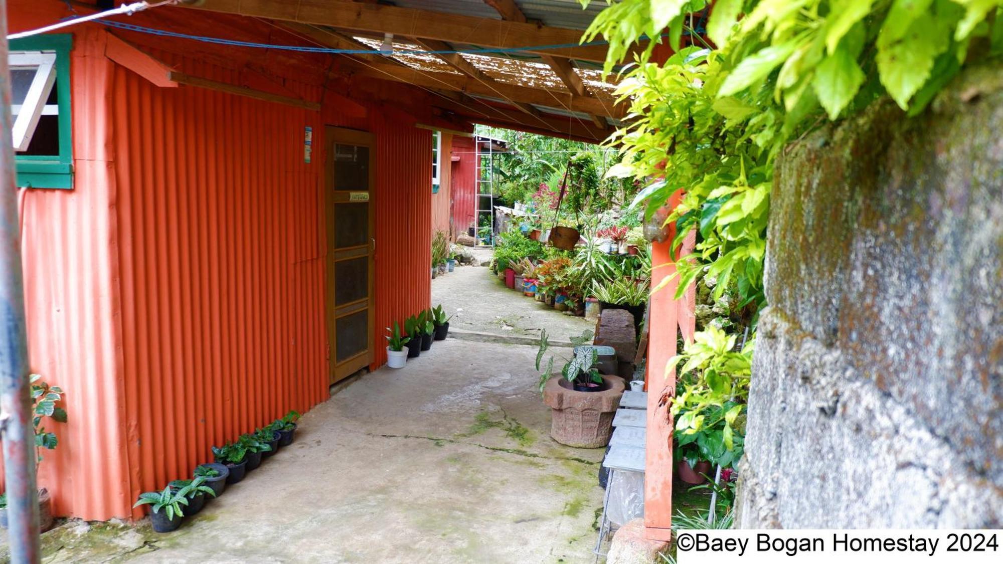 Baey Bogan Homestay Sagada Kültér fotó