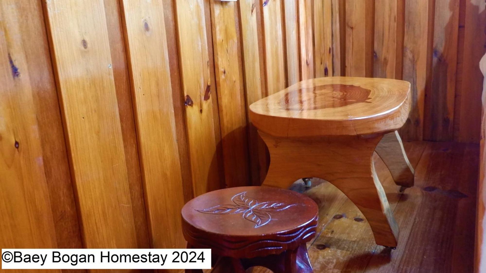 Baey Bogan Homestay Sagada Kültér fotó