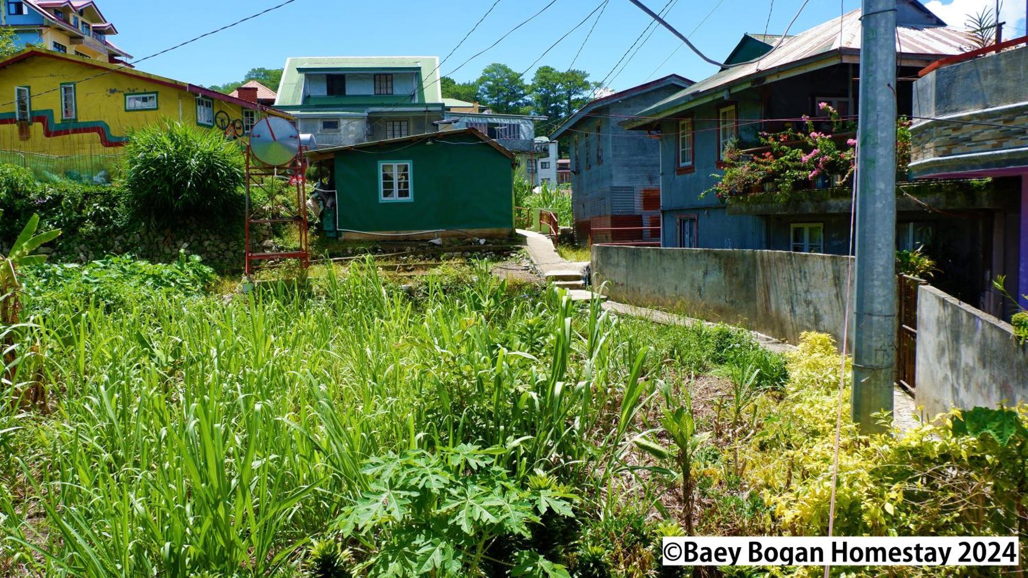 Baey Bogan Homestay Sagada Kültér fotó