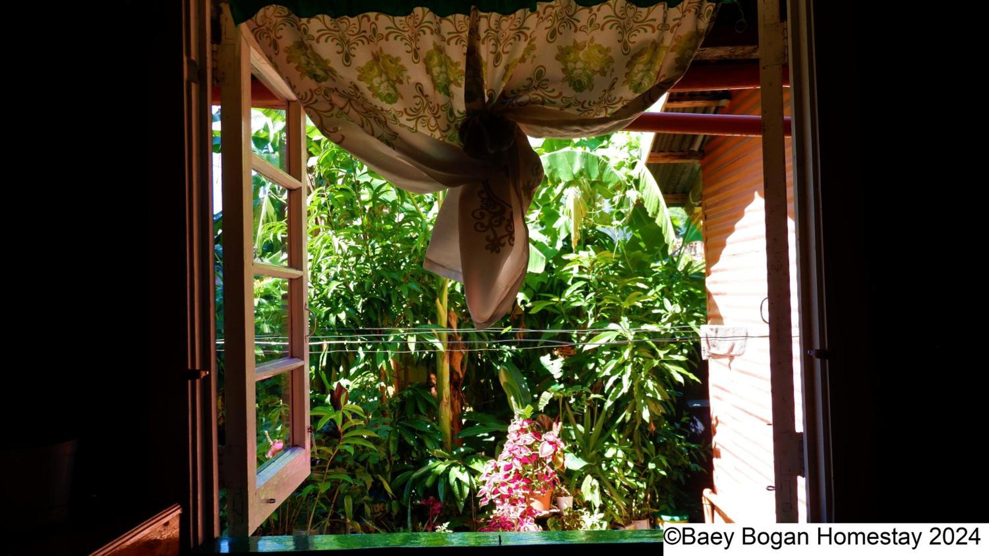 Baey Bogan Homestay Sagada Kültér fotó